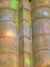 pigment