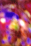 pigment