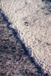pigment